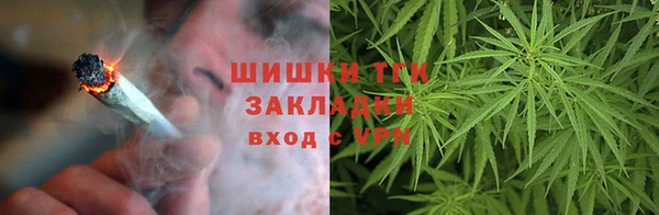 бошки Инта